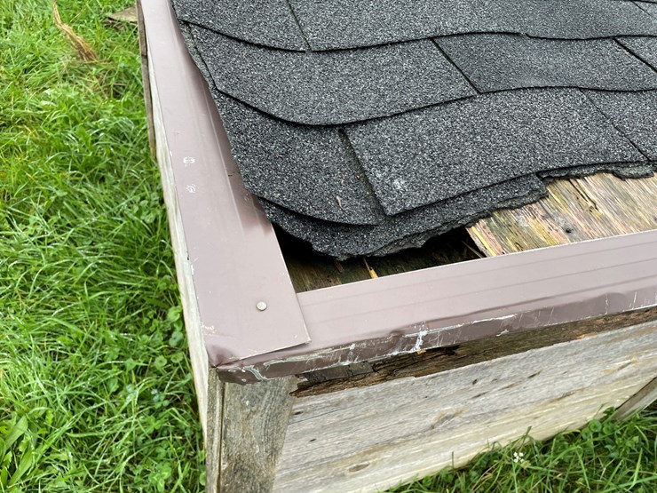 homemade-dog-image-9