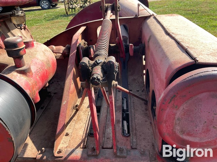 international-55-image-15