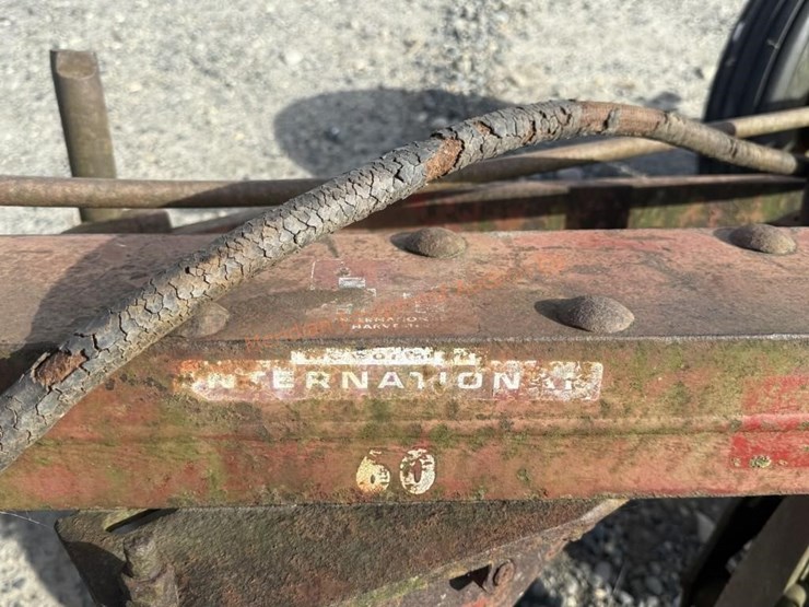 international-60-image-14