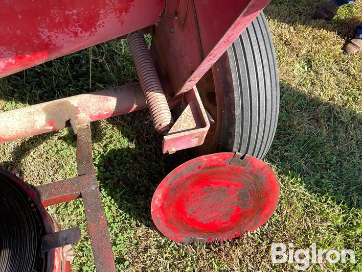 international-55-image-20