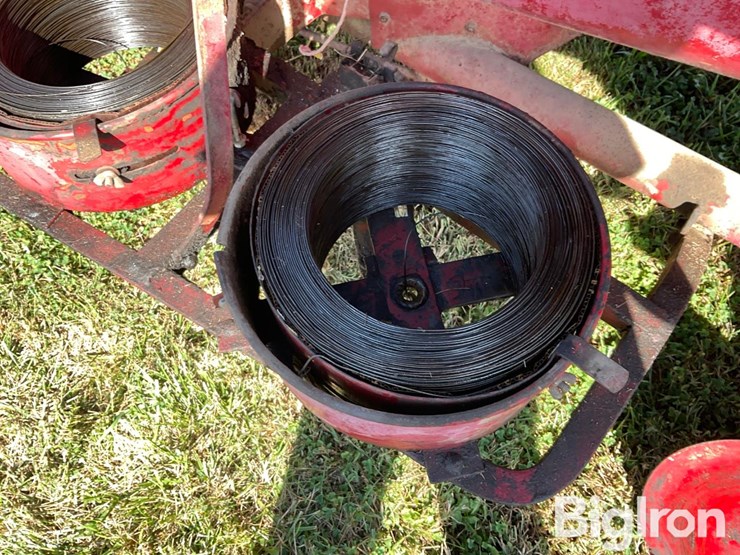 international-55-image-18