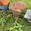 #8139-•-wheelbarrow-image-1