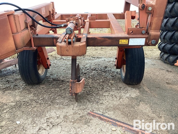 sunflower-3651-25-image-15