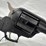 #2025-00029-•-ruger-wrangler-revolver-image-20
