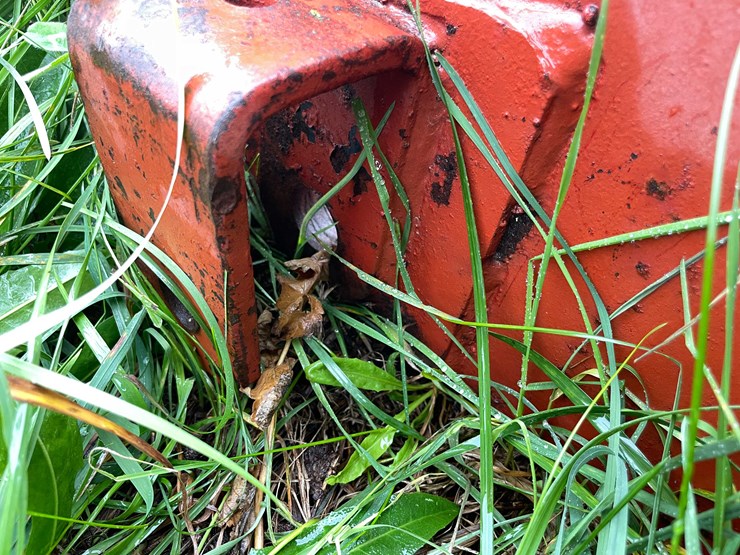 international-300-image-7