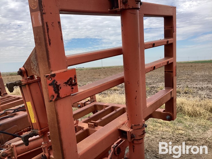 sunflower-3651-25-image-18