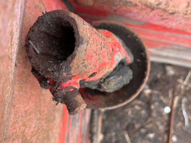 international-175-image-6