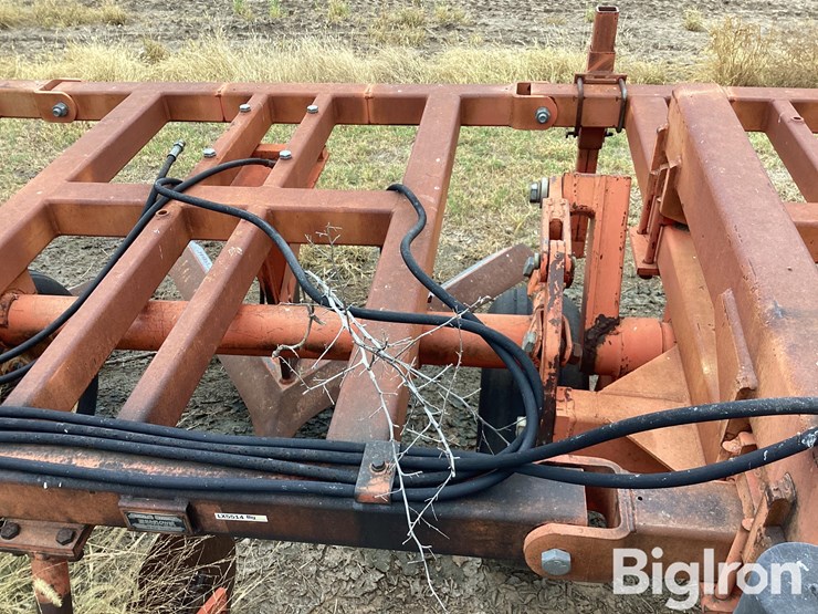 sunflower-3651-25-image-17