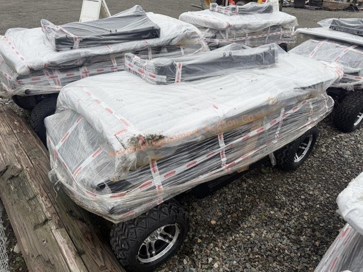 2025-sdlanch-electric-golf-cart-image-4