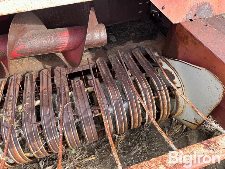 international-430-image-18