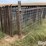shop-built-pivot/cattle-panels-image-5