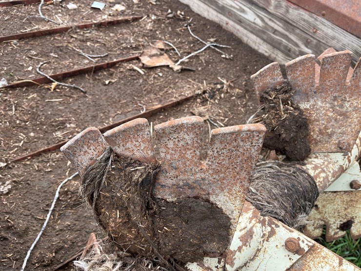 international-175-image-16