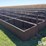 cliff’s-welding-fence-line-feed-bunks-image-7