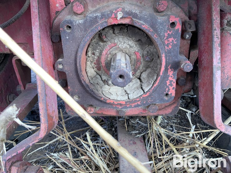 international-660-image-9