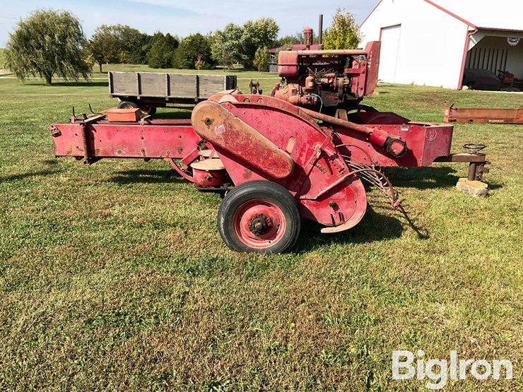 international-55-image-7