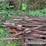 #9609-•-(2)-pallets-steel-t-posts-image-4