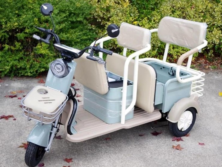 black-gold-electric-leisure-tricycle/mini-tourist-car/mini-golf-cart,-color:-green,-assembled-image-5