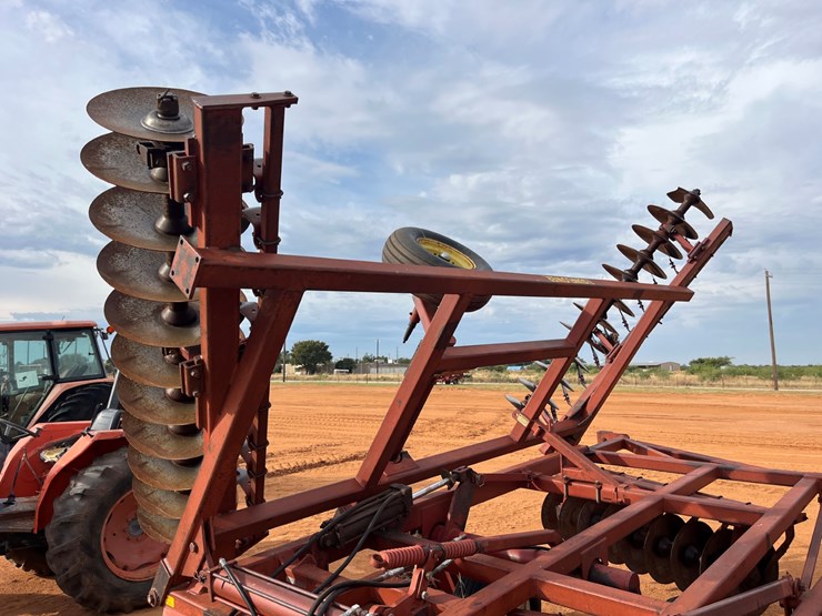 sunflower-1441-image-4