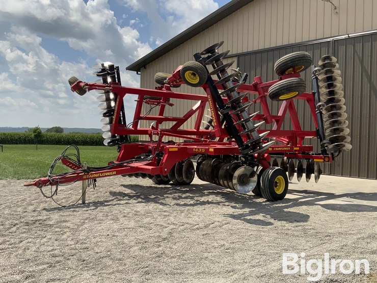 2010-sunflower-1435-image-1