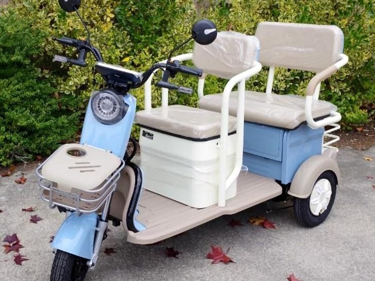 black-gold-electric-leisure-tricycle/mini-tourist-car/mini-golf-cart,-blue,-unused,-assembled-image-1