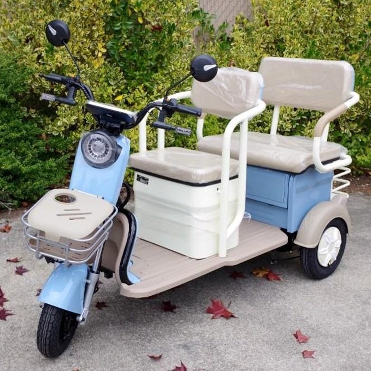 BLACK GOLD Electric Leisure Tricycle/Mini Tourist Car/Mini Golf Cart, Blue, Unused, Assembled