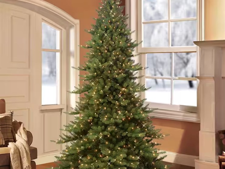 international-9-image-1