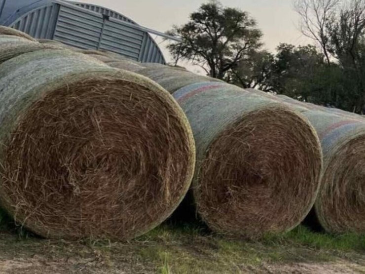 clean-native-grass-hay-image-1