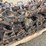 #14078-•-skid-steer-tracks-(o10)-image-3