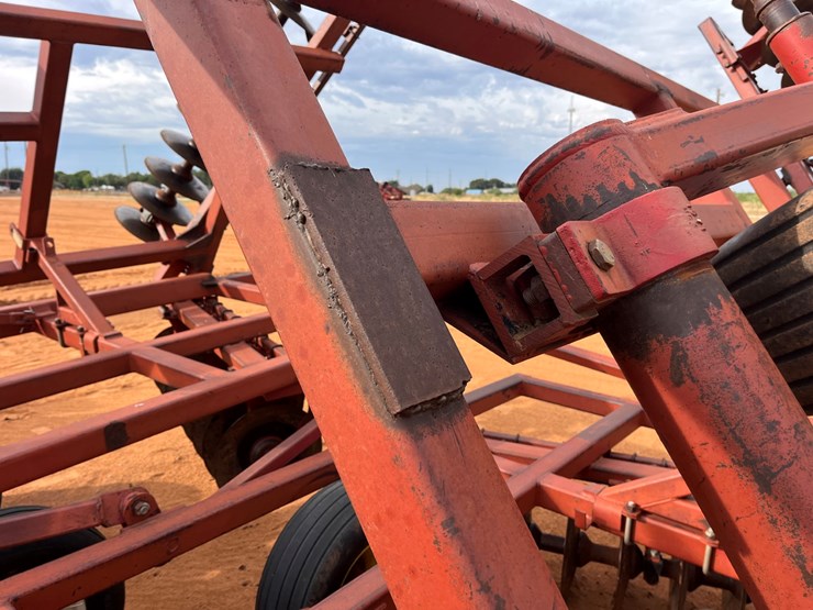 sunflower-1441-image-28