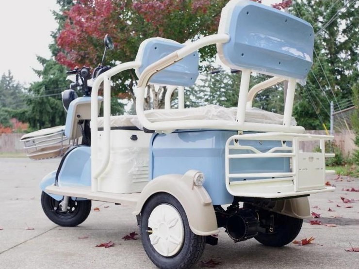 black-gold-electric-leisure-tricycle/mini-tourist-car/mini-golf-cart,-blue,-unused,-assembled-image-8