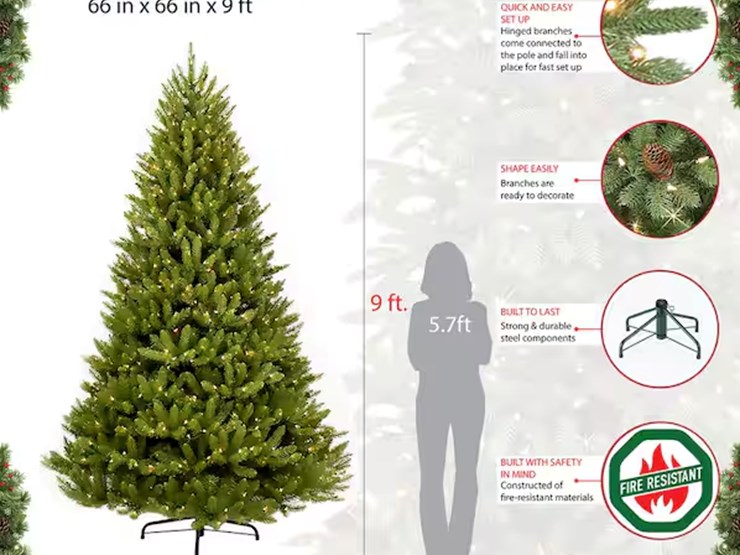 international-9-image-4