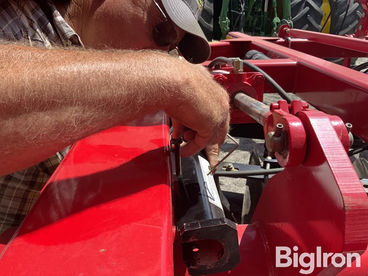 2010-sunflower-1435-image-16