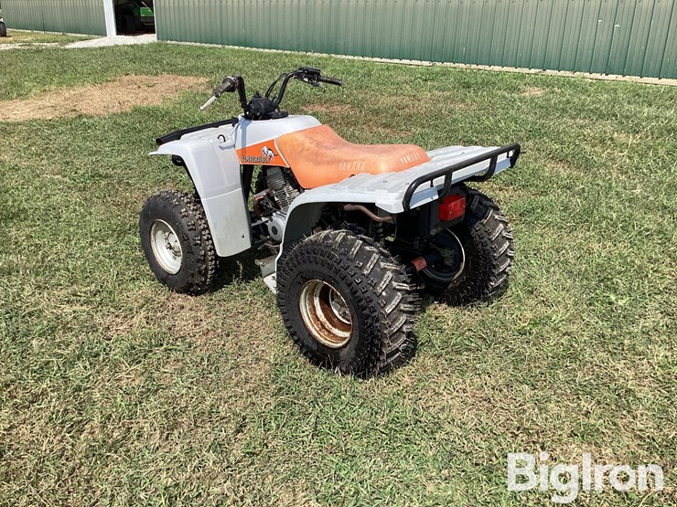 1992-yamaha-timberwolf-2wd-atv-image-7