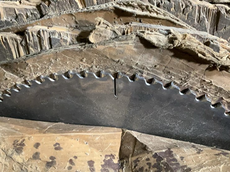 #151-•-trim-saw-blades-image-4