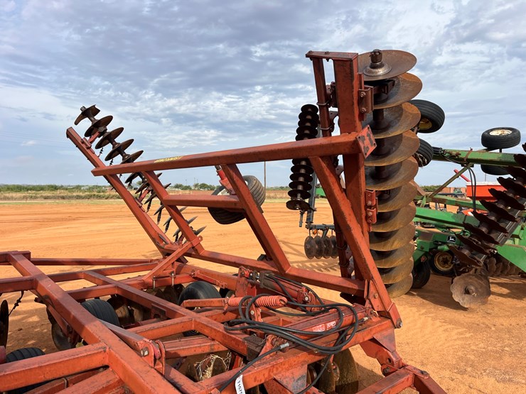 sunflower-1441-image-5