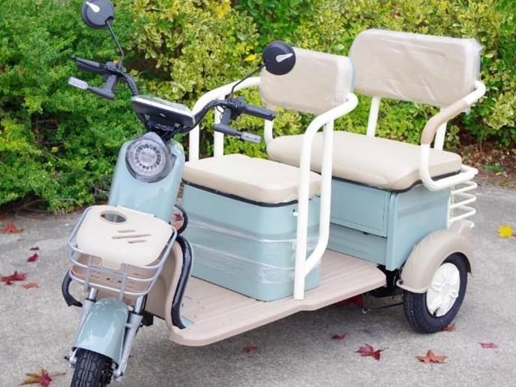 black-gold-electric-leisure-tricycle/mini-tourist-car/mini-golf-cart,-color:-green,-assembled-image-1