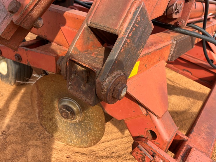 sunflower-1441-image-13