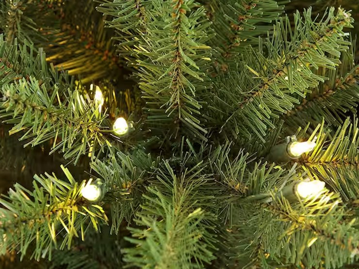 international-9-image-3