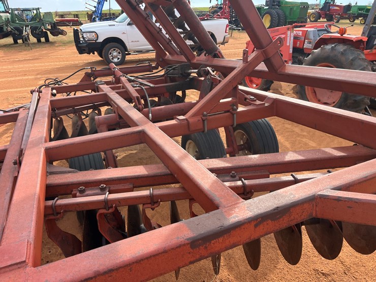 sunflower-1441-image-20