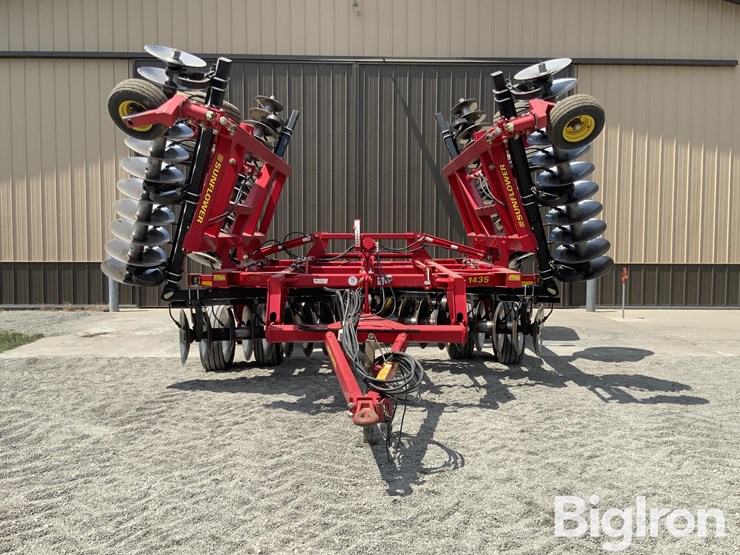 2010-sunflower-1435-image-2