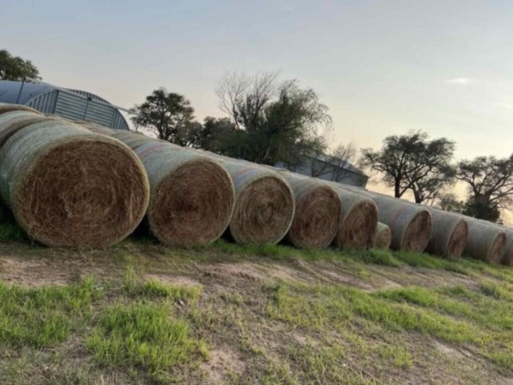 clean-native-grass-hay-image-2