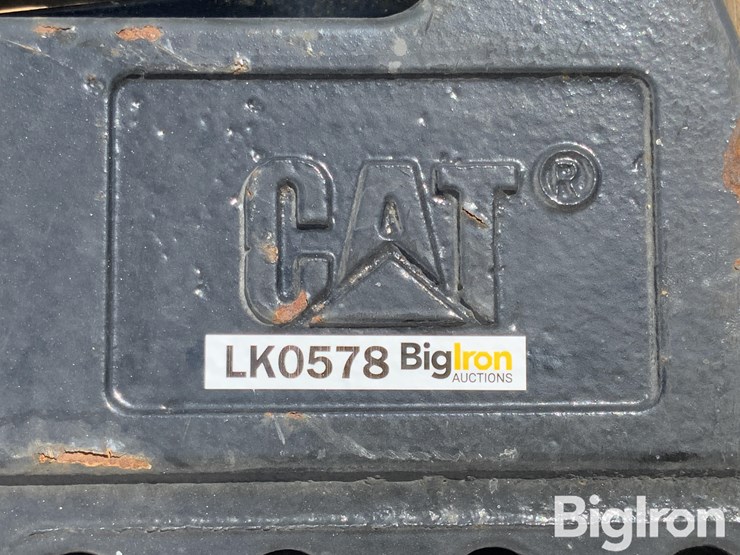 caterpillar-100-image-17