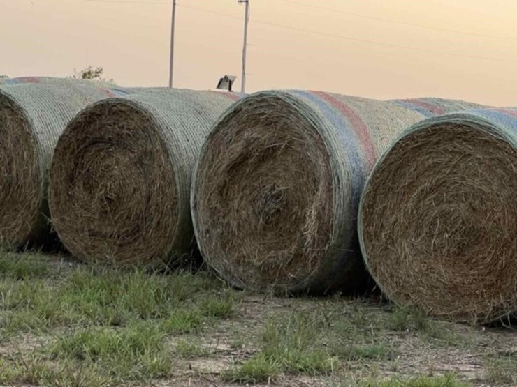 crabgrass-round-bales-image-1