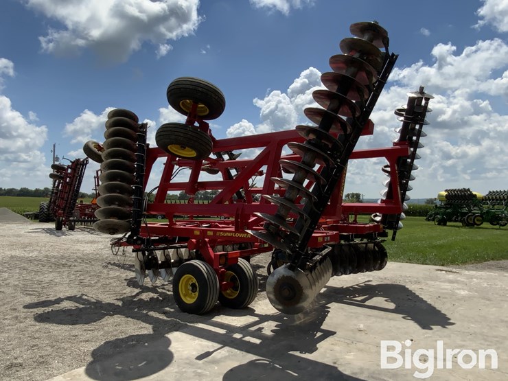 2010-sunflower-1435-image-7