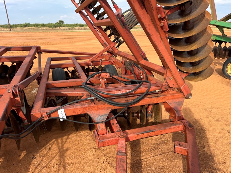 sunflower-1441-image-3