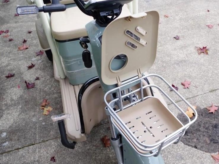 black-gold-electric-leisure-tricycle/mini-tourist-car/mini-golf-cart,-color:-green,-assembled-image-3