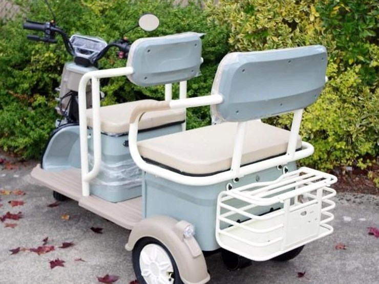 black-gold-electric-leisure-tricycle/mini-tourist-car/mini-golf-cart,-color:-green,-assembled-image-9