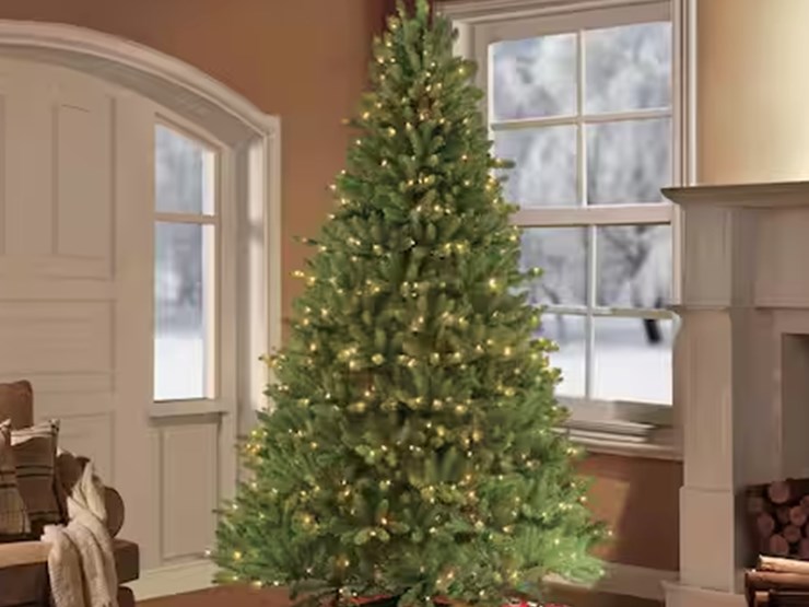 international-9-image-1