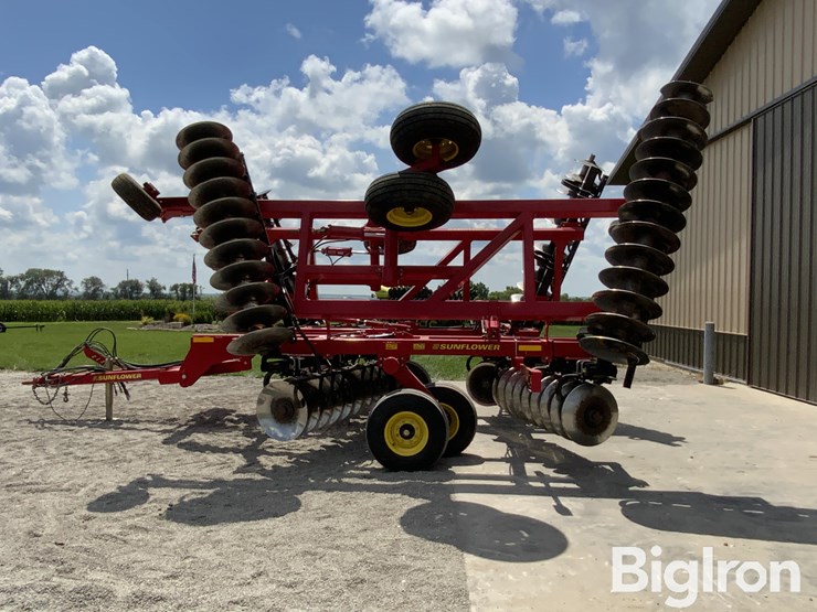 2010-sunflower-1435-image-8