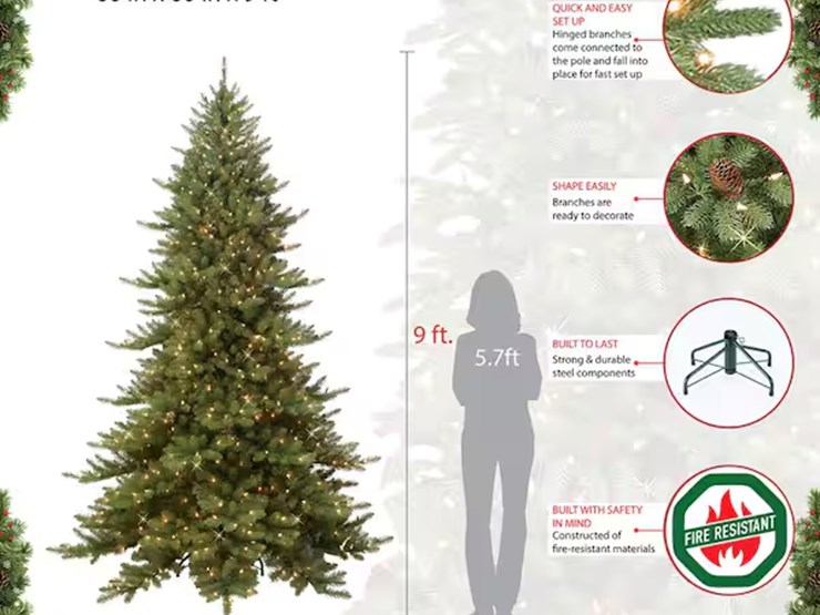 international-9-image-4